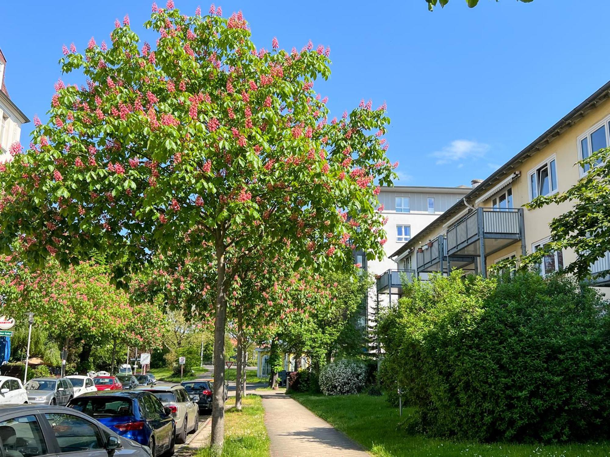 New-York Appartment, 2 Zimmer, Zentral Naehe Bahnhof Wilhelmshoehe Kassel Exterior foto